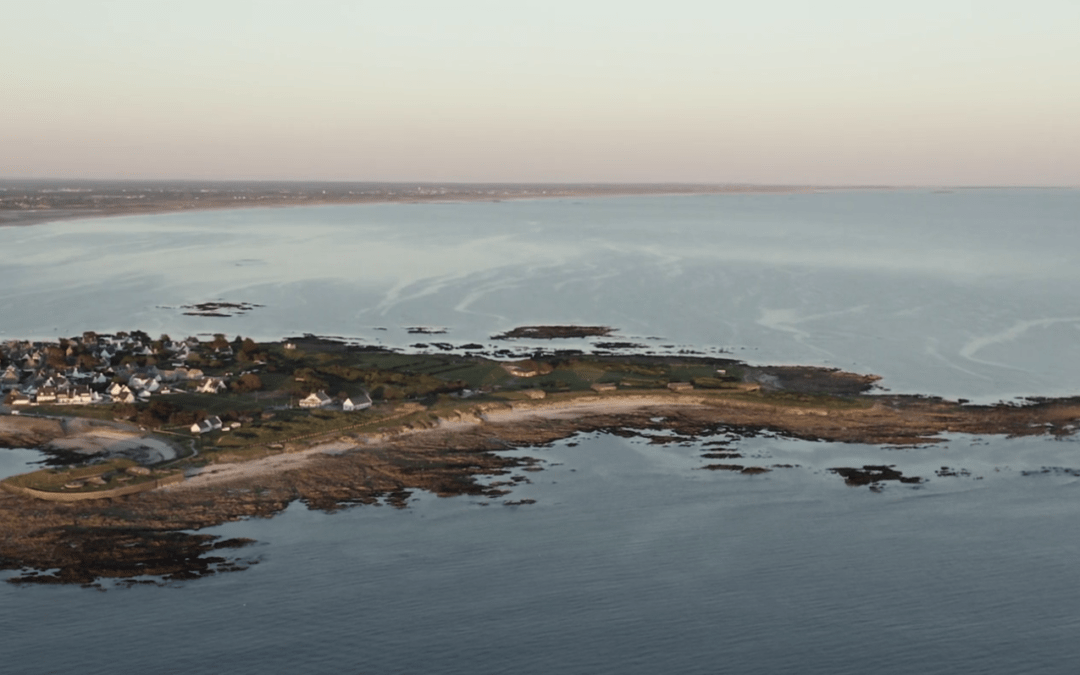 NOS DUNES SAUVAGES